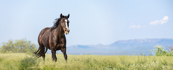 6N3A0091-Edit-Edit