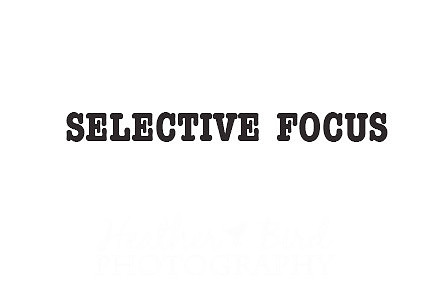 selective focus