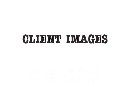 client images