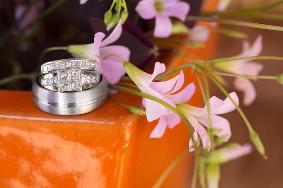 rings--2