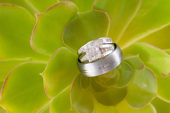 rings-